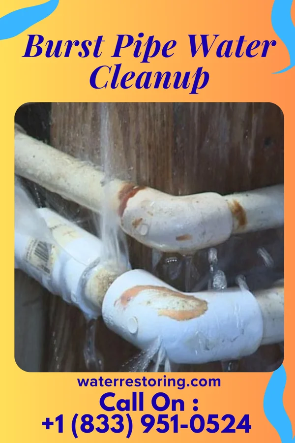 Burst Pipe Water Cleanup in Forest Glen, MD