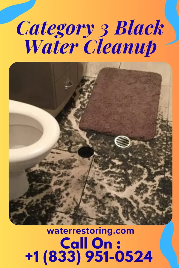 Category 3 Black Water Cleanup in Forest Glen, MD