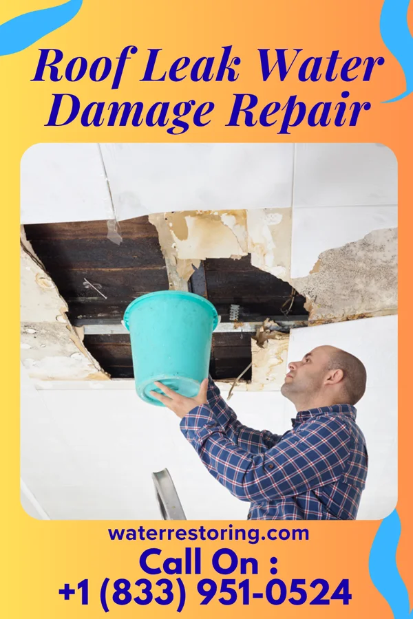 Roof Leak Water Damage Repair in Forest Glen, MD